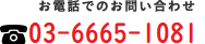 お電話でのお問い合わせ　TEL:03-5733-8620